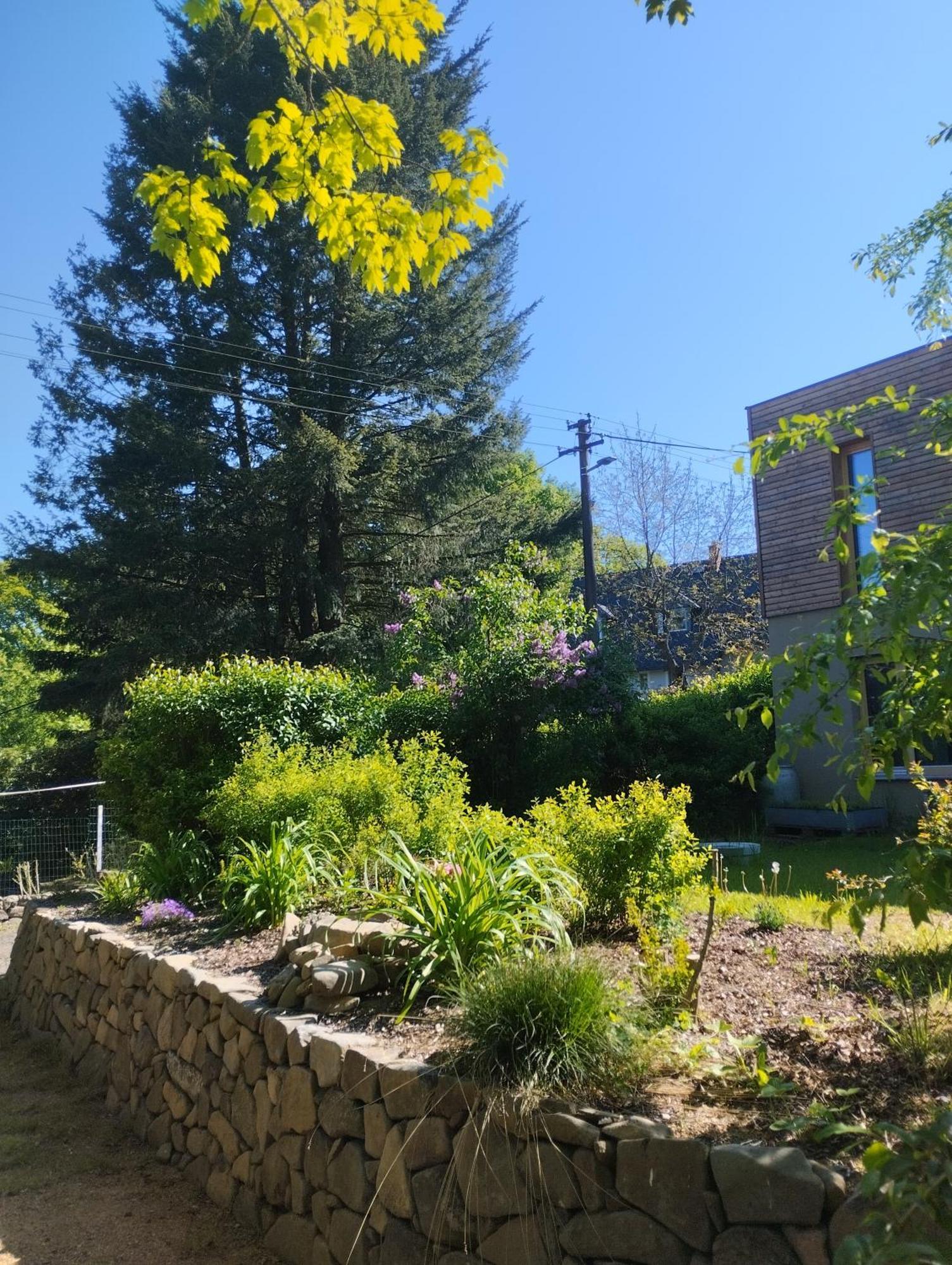 Villa Domeček uprostřed přírody Krásná Lípa Exterior foto